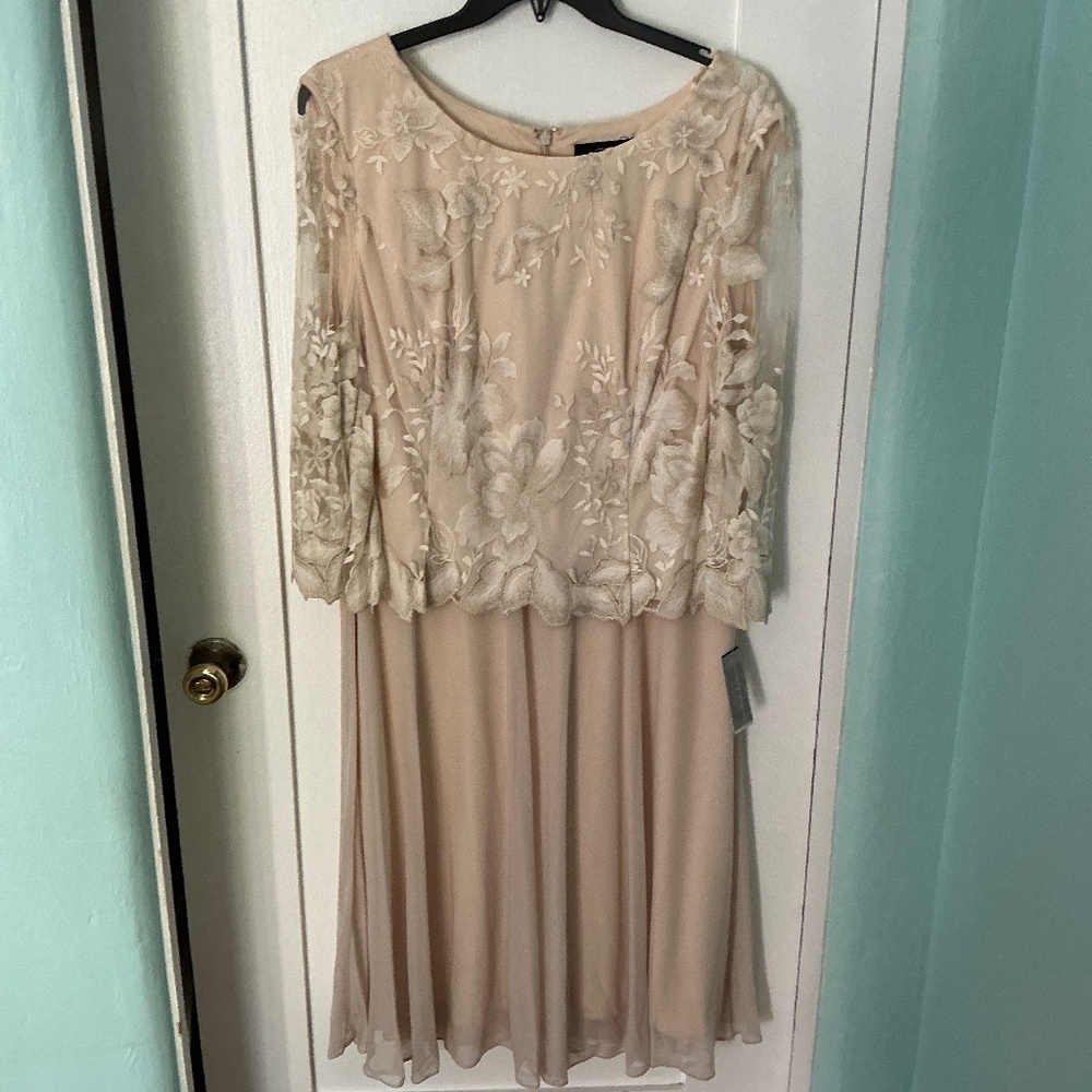 Elegant Blush Lace Chiffon Dress – NWT, Size 18, Perfect for Weddings & Events